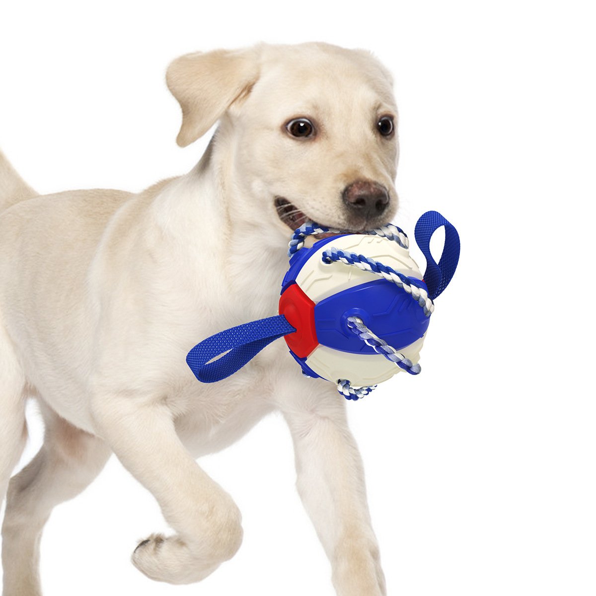 Pet Frisbeed Dog Chew Ball Toys for Aggressive Chewers Interactive Flying Disc Exercise Toys Rebound Frisbeed Balls