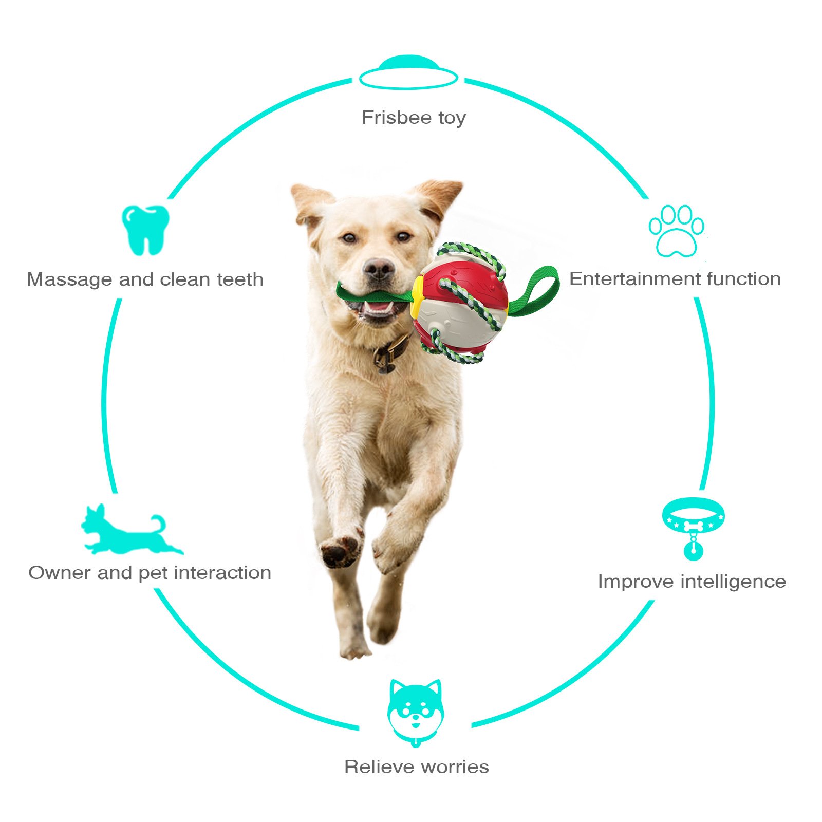 Pet Frisbeed Dog Chew Ball Toys for Aggressive Chewers Interactive Flying Disc Exercise Toys Rebound Frisbeed Balls
