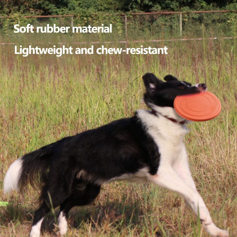 High Quality Durable Using Various Easy To Throw Dog Training Frisbee For Pet