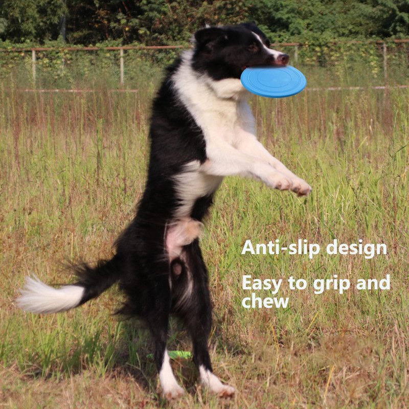 High Quality Durable Using Various Easy To Throw Dog Training Frisbee For Pet