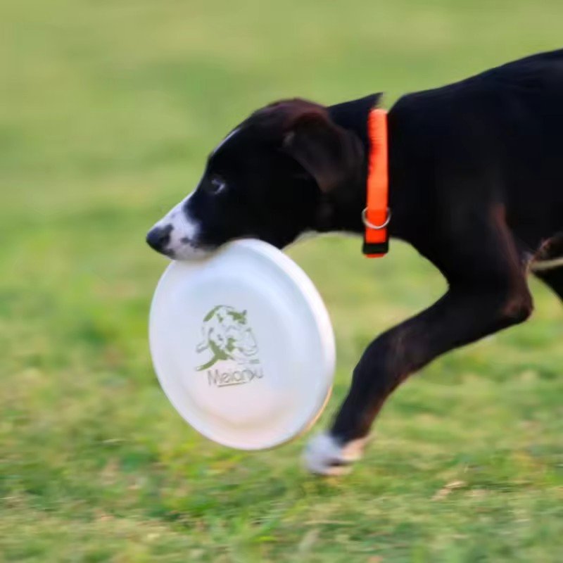 Xianchanpets Small Durable Interactive Dog Flying Disc Toys Modern Simple Soft Dog Frisbees Playing Water Bite Training