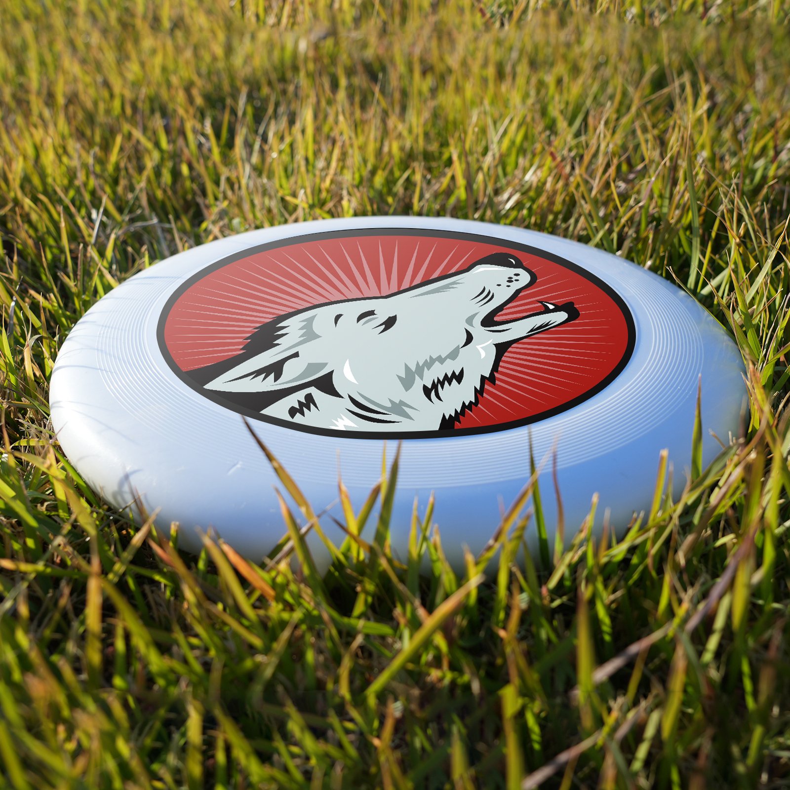Blue Bay Sport frisbeed golf disc Big outdoor frisbeed Round frisbeed flying tray flying plate