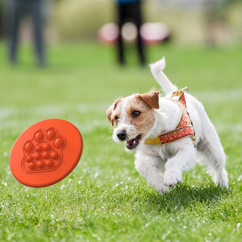 2024 new custom mini frisbee dog 175g frisbee golf disc professional foldable frisbee for dog