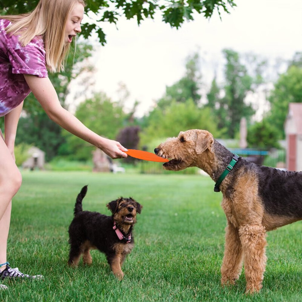Custom Logo Round Pet Dog Pet Training Chew Toys Bite Resistant Silicone Flying Disk Frisbeed