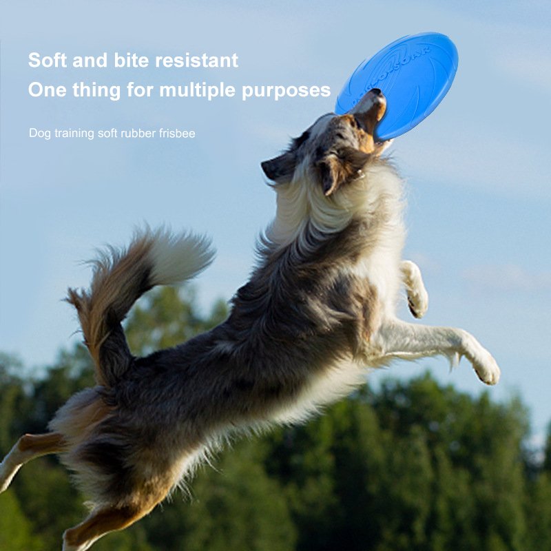 Durable Custom Pet Toy Disk Dog Flying Discs Pet Feeding Ultimate Flying Disc Sports Interactive Dog Toy