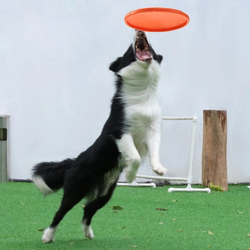 Fashion Pet Dog Silicone Game Frisbeed Dog Toy Flying Discs Training Interactive Toys Pet Supplies Flying Disc 15/18/22cm