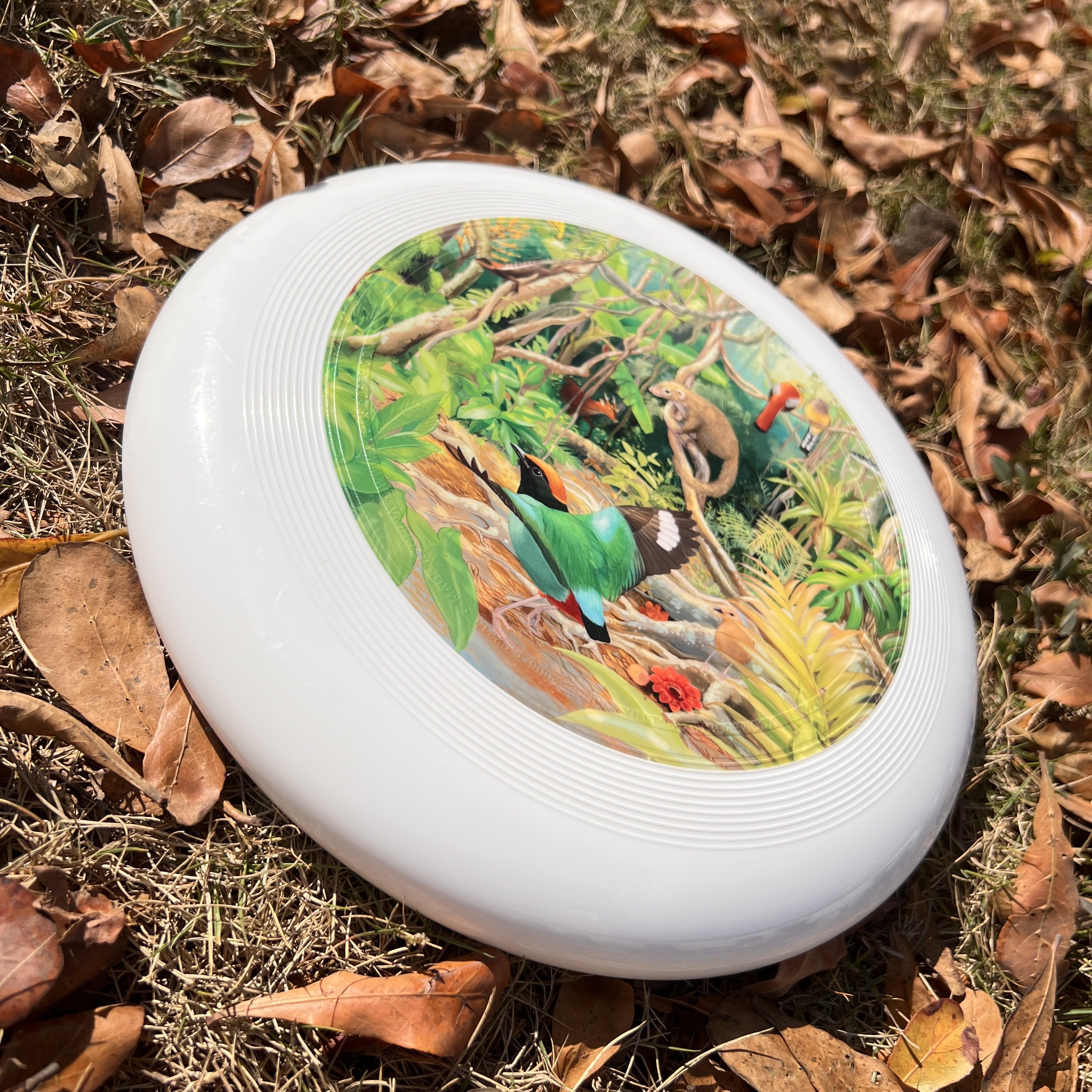 Factory Direct Professional 110 Grams TPE Custom Discs 23cm Fly Discs Outdoor Youth Frisbee Games Beach Sports Toys Flying Discs