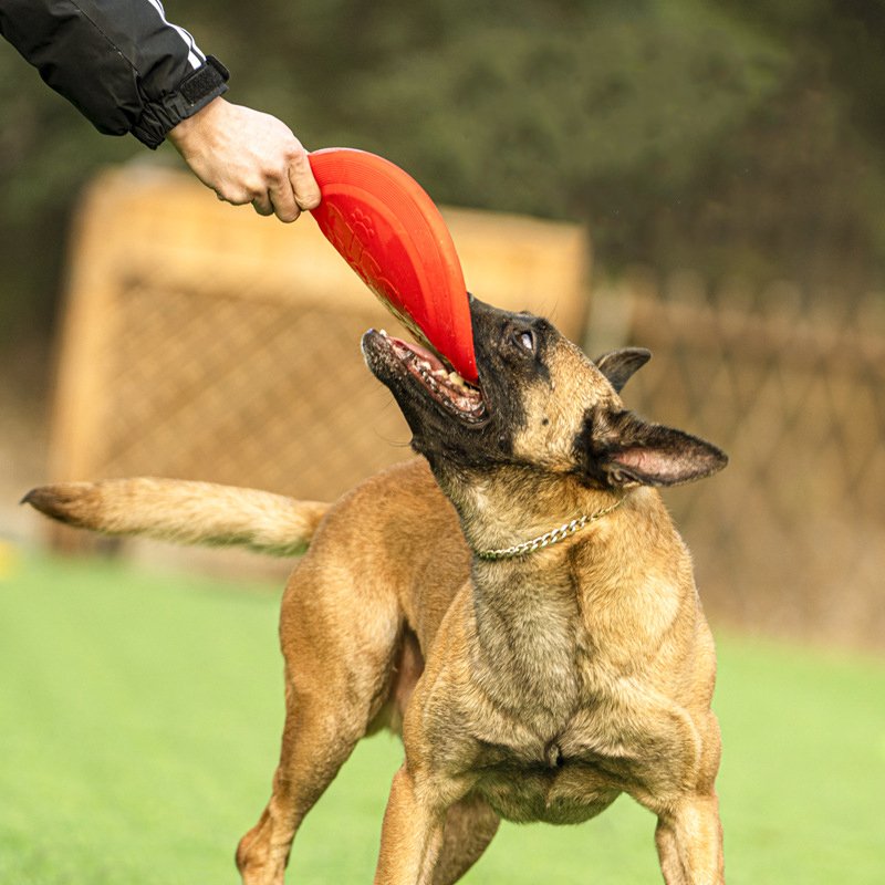 wholesale High Quality TPU Pet dog Training Toy Interactive Chew Toys Resistance Bite Flying Discs Saucer for Dogs