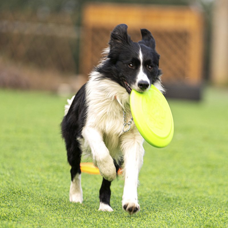 wholesale High Quality TPU Pet dog Training Toy Interactive Chew Toys Resistance Bite Flying Discs Saucer for Dogs