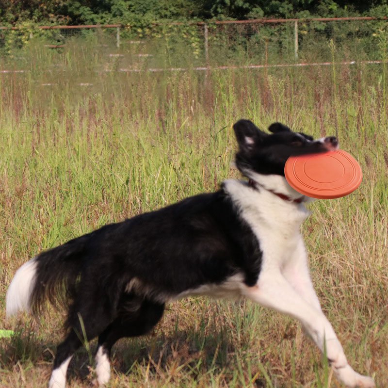 Puzzle Dog Toys Pack Food Pet Leaking Food Training Flying Saucer TPR Dog Interactive Toy Frisbee