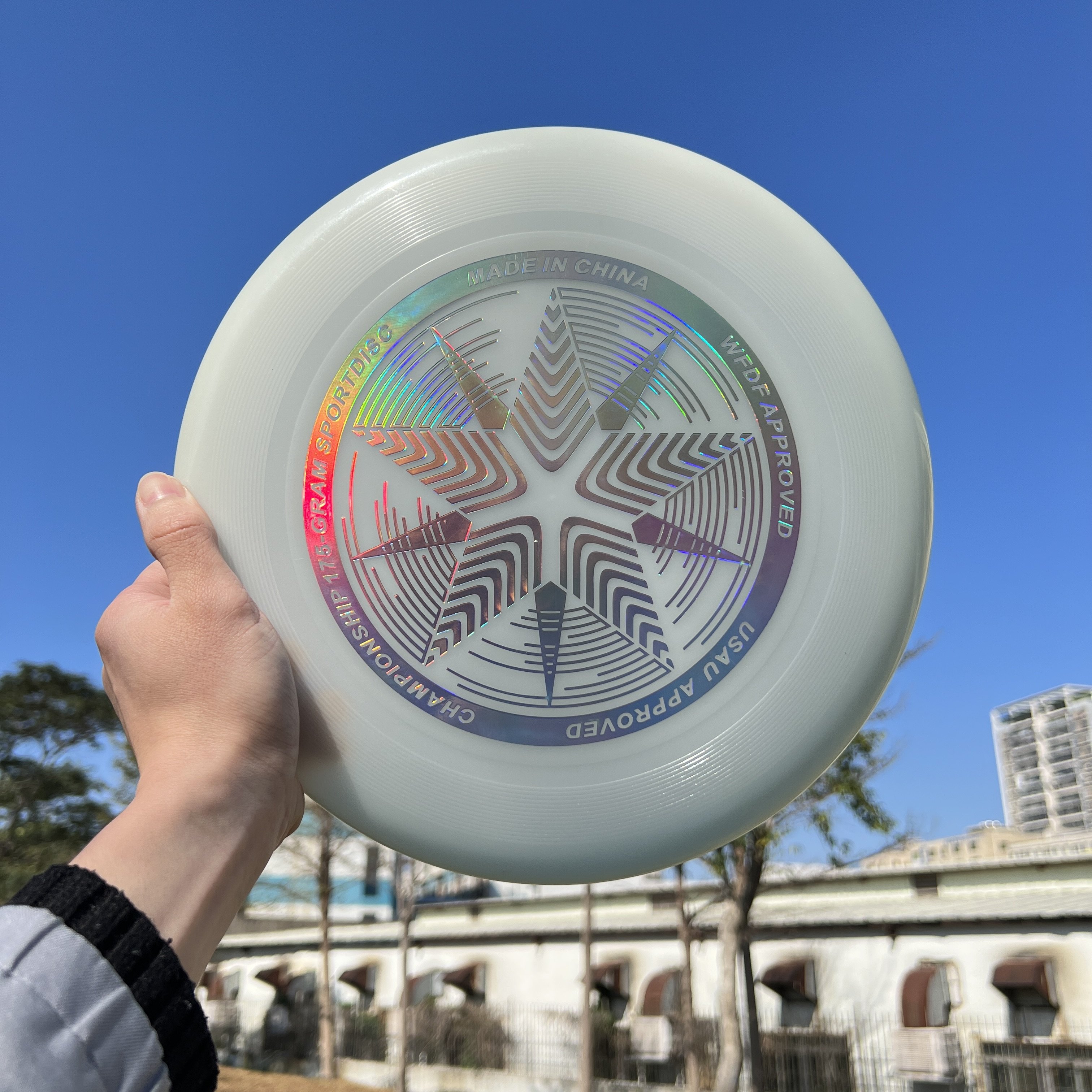 Ultimate Frisbeed Glow in The Dark Flying Disc Luminous Frisbeed Outdoor Factory Customize 175g Carton Plastic PU/PE