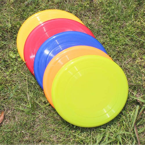 Plastic Injection Mould Pet Dog Outdoor Training Plastic Frisbee Mould