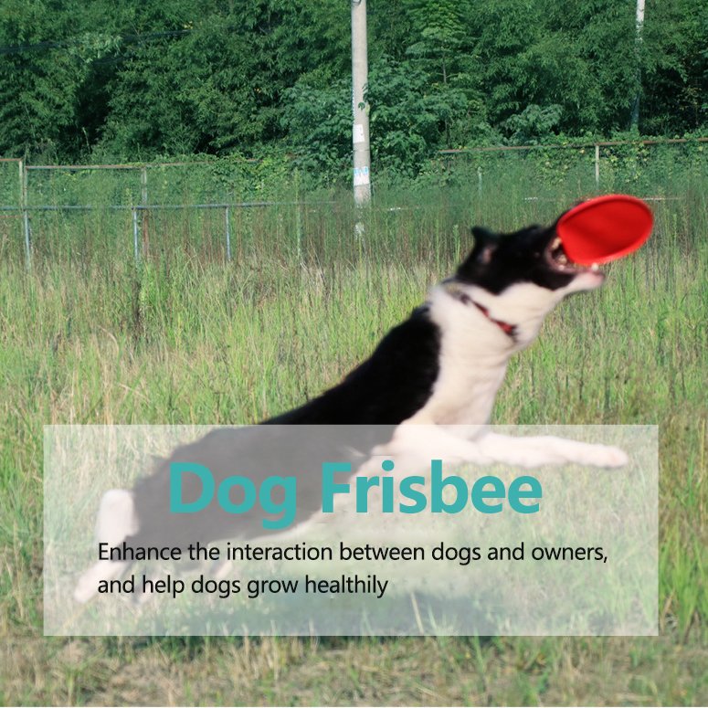 Dog Frisbeed Custom Logo Silicone Ultimate Mini Plastic Frisbeed Sports Dog Toys Frisbeed TPR Pet Bite Toys