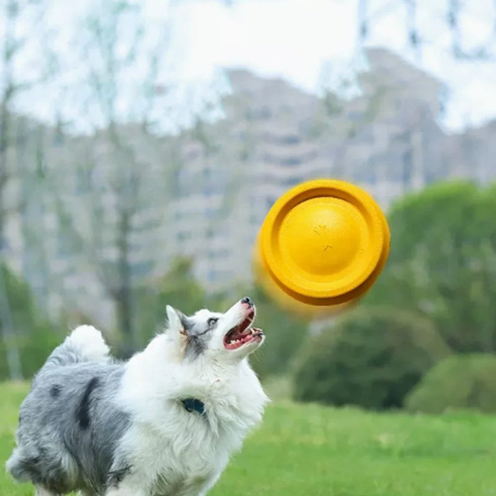 Customized Durable Soft Non-Slip Dog Flying Disc TPR Game Frisbeed Pet Bite Resistant Frisbeed Outdoor Training Dog Toys