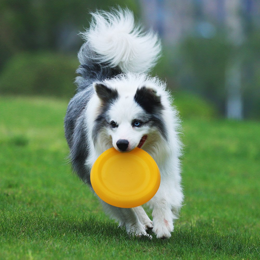 1Tail Durable Dog Chew Toys for Aggressive Chewers Puppies and Dogs