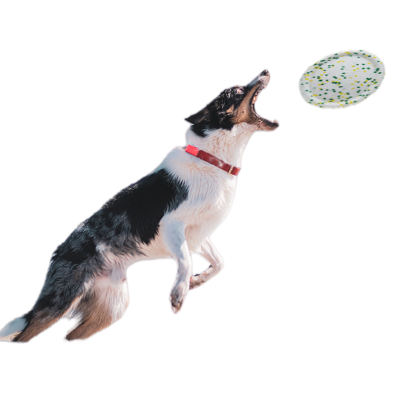 Custom Logo High Quality Chew ETPU Flying Discs Frisbeed Flying Saucer Pet Dog Toys