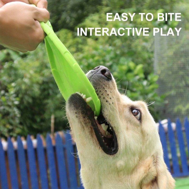 Custom Promotional 9 inch Pet Bite Resistant Frisbeed TPR Soft Flying Disc for Training Dog