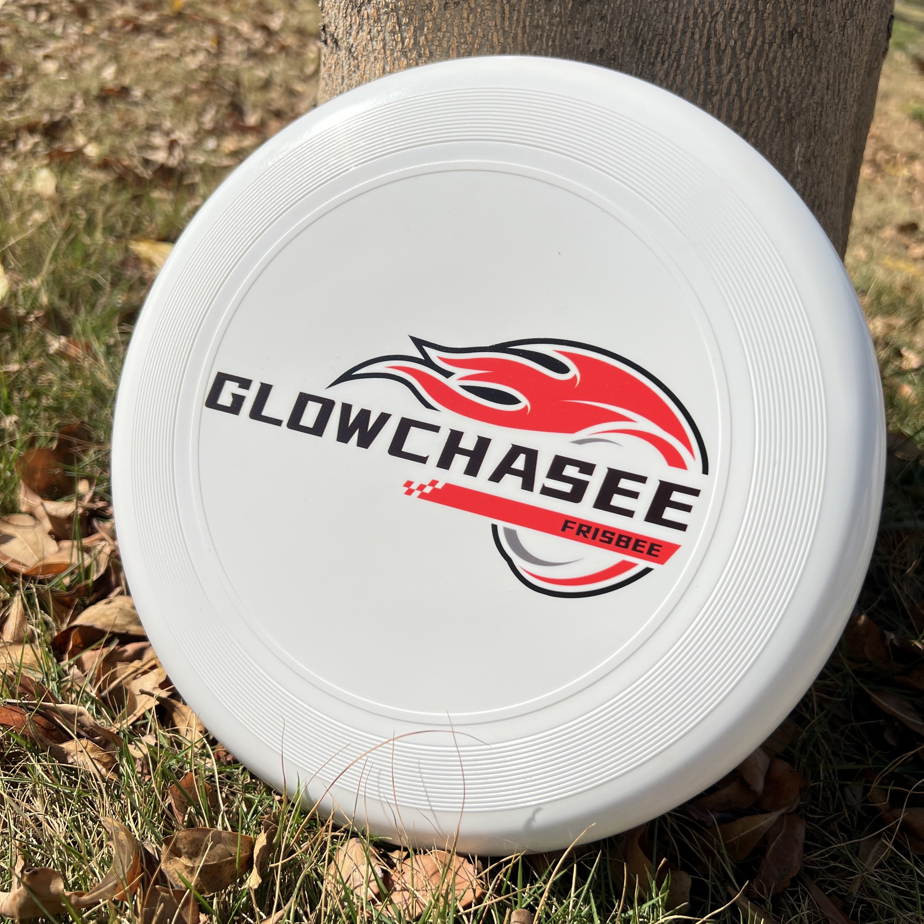 Factory custom Logo Wholesale Frisbeed 23cm Fly Discs Outdoor Youth Frisbee Beach Sports Disc Toys PE Soft Plastic Flying Disc