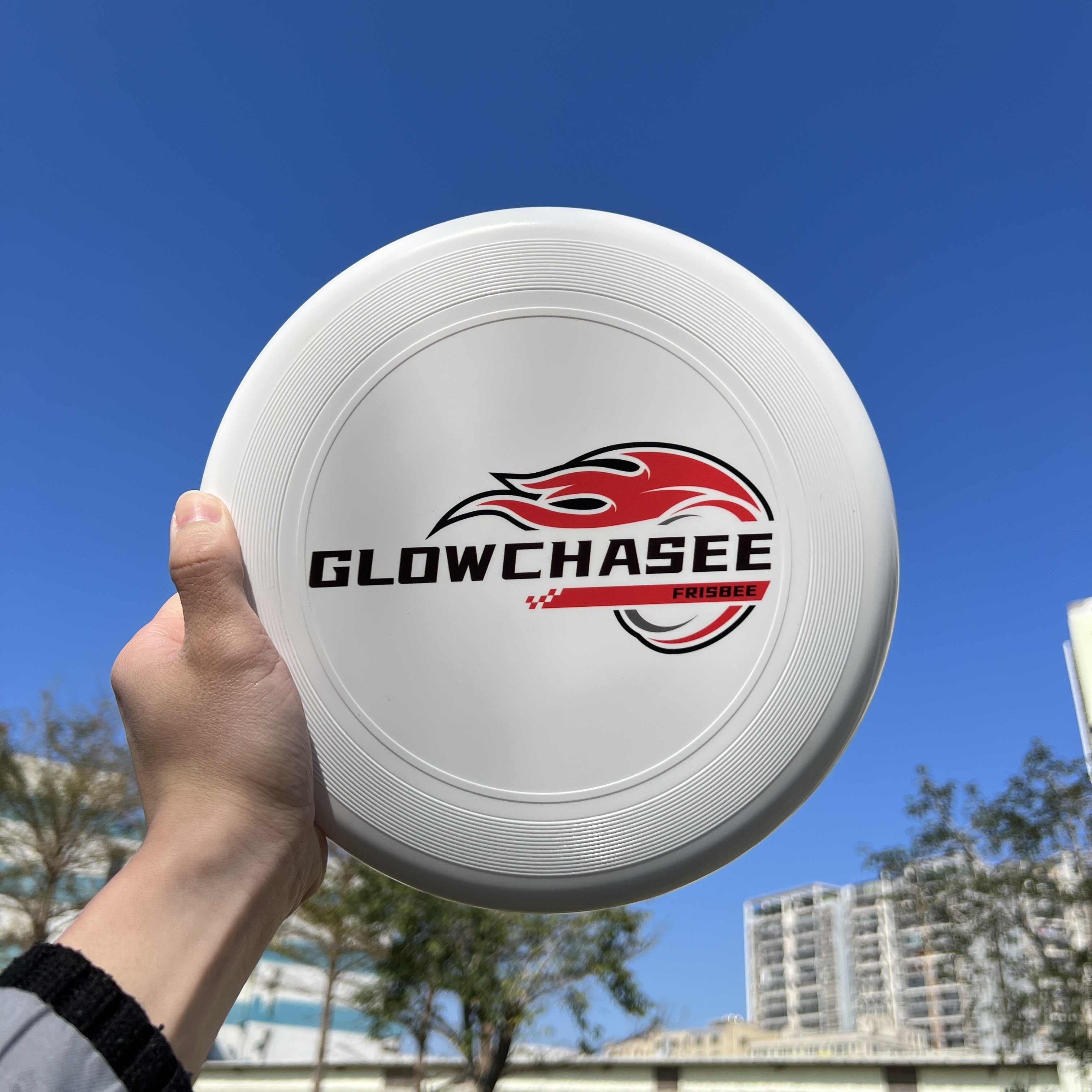Factory custom Logo Wholesale Frisbeed 23cm Fly Discs Outdoor Youth Frisbee Beach Sports Disc Toys PE Soft Plastic Flying Disc
