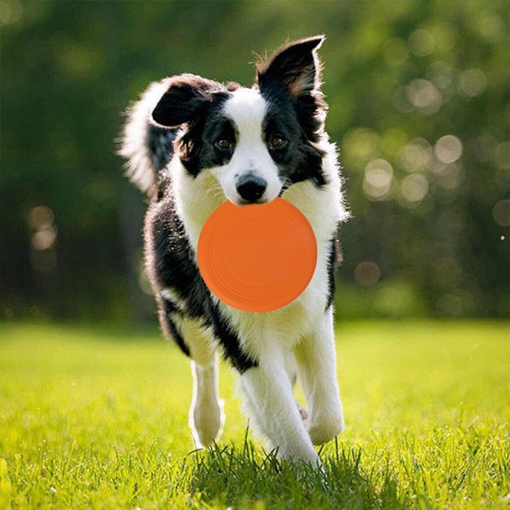 2024 New Product idea Dog Flying Disc Custom Logo High Flying Aerodynamic Disc for Dogs Puppy Lightweight Floatable Frisbeed