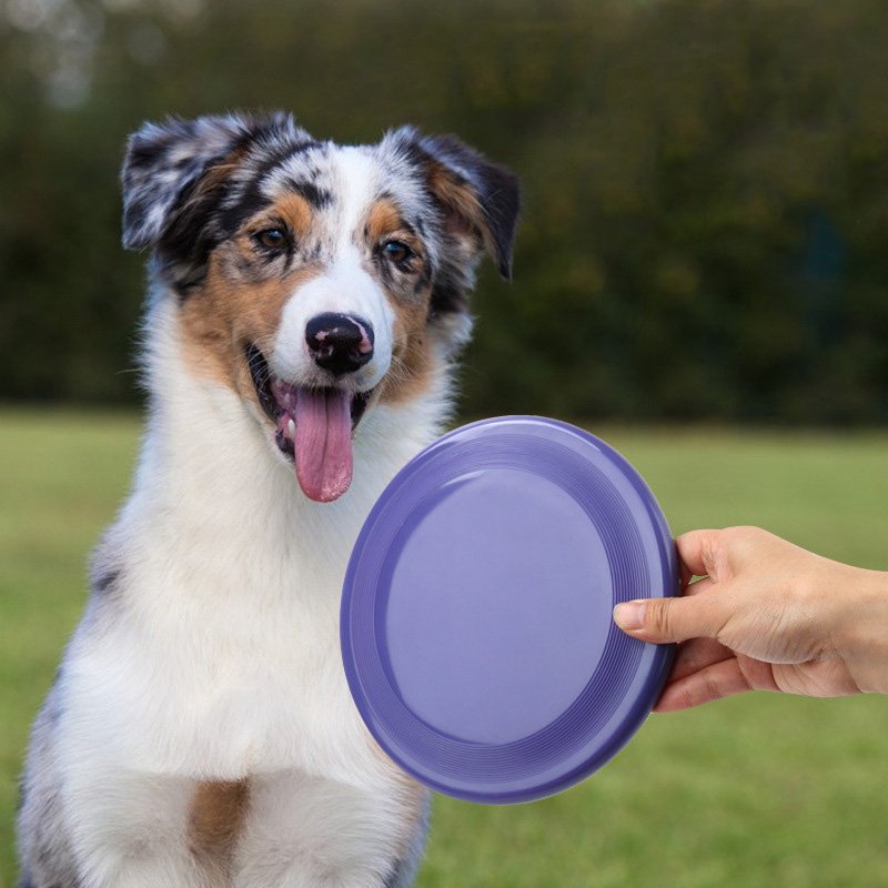 Hot selling dog toy flying discs resistant chew puppy training interactive pet frisbeed