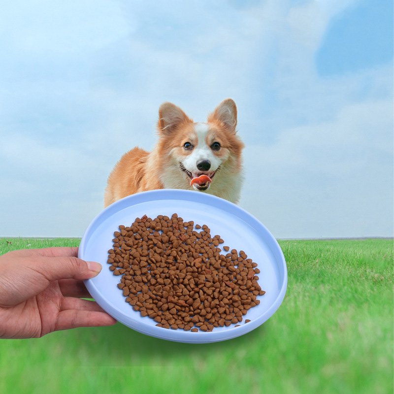 Hot selling dog toy flying discs resistant chew puppy training interactive pet frisbeed