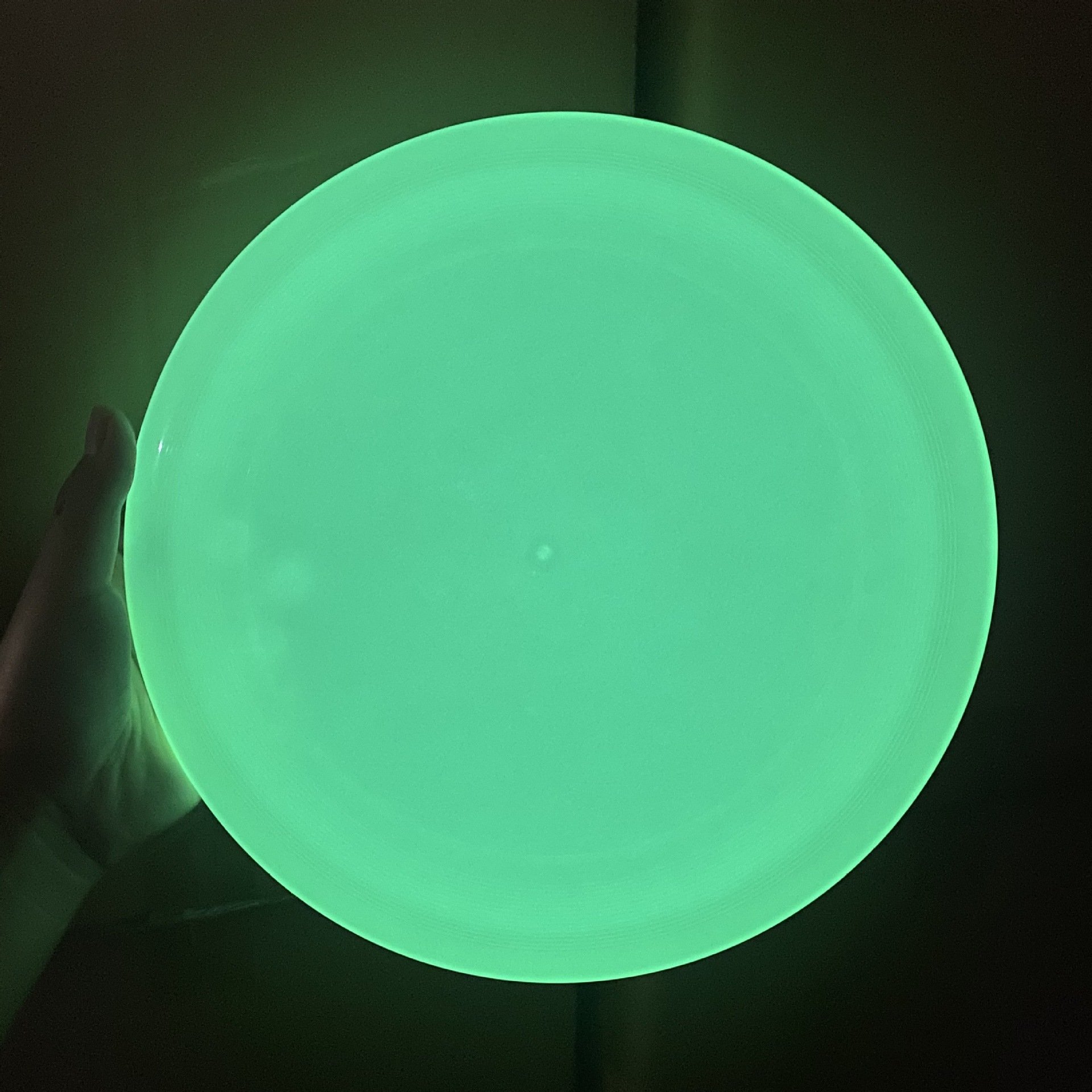 PE Outdoor Game Sports 175g Ultimate Frisbeed Flying Disc Competition Class PE Material Custom Logo Beach Flying Disc