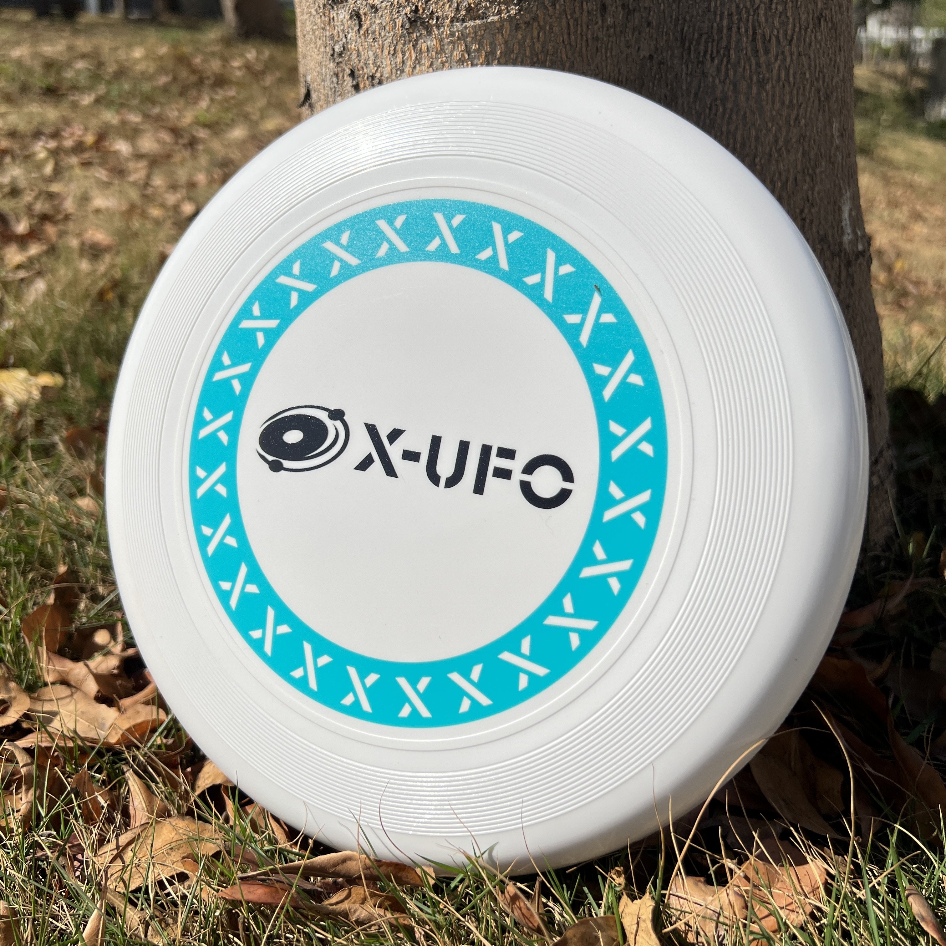 Factory Direct Customized 23cm Flying Disc Outdoor Kids Adults Camping Games Summer Beach Sports Toys 110g blank Frisbeed