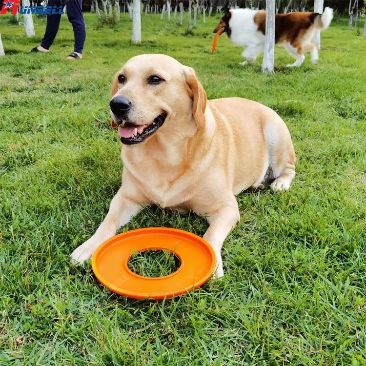 High quality Dog Frisbee Frisbee toy Sports Dog Toys Frisbee FOR Pet Bite Toys