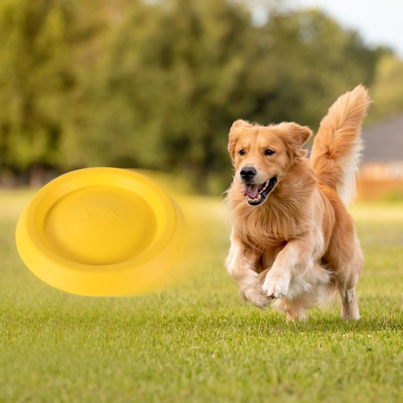 Pets Dog Frisbees Dog Flying Disc, Durable Dog Toys, Floating Flying Saucer for Water Pool Beach for game