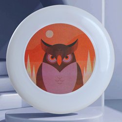 owl