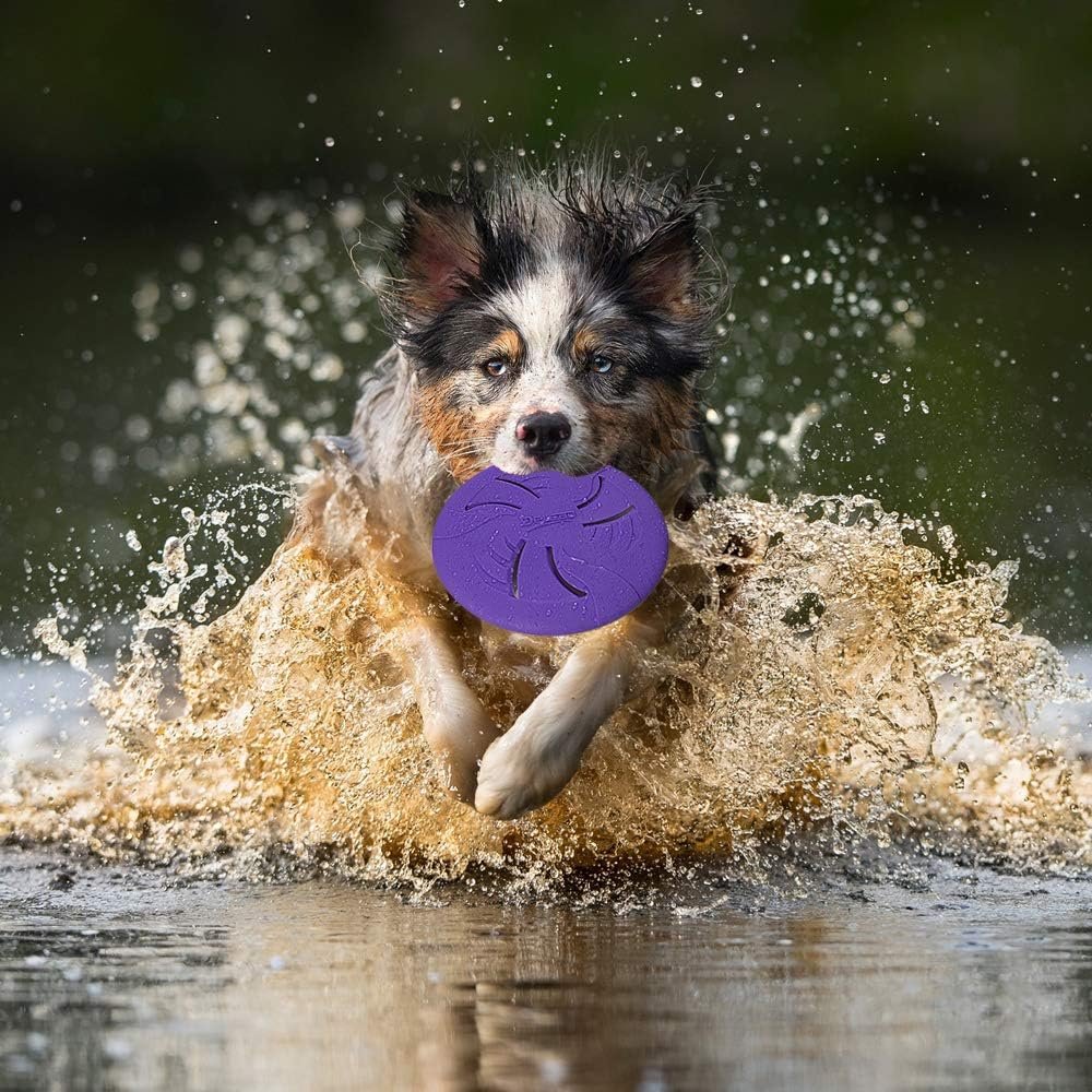 Purple Dog frisbeed Disc with Soft rubber & Soft material for dogs sport toys.