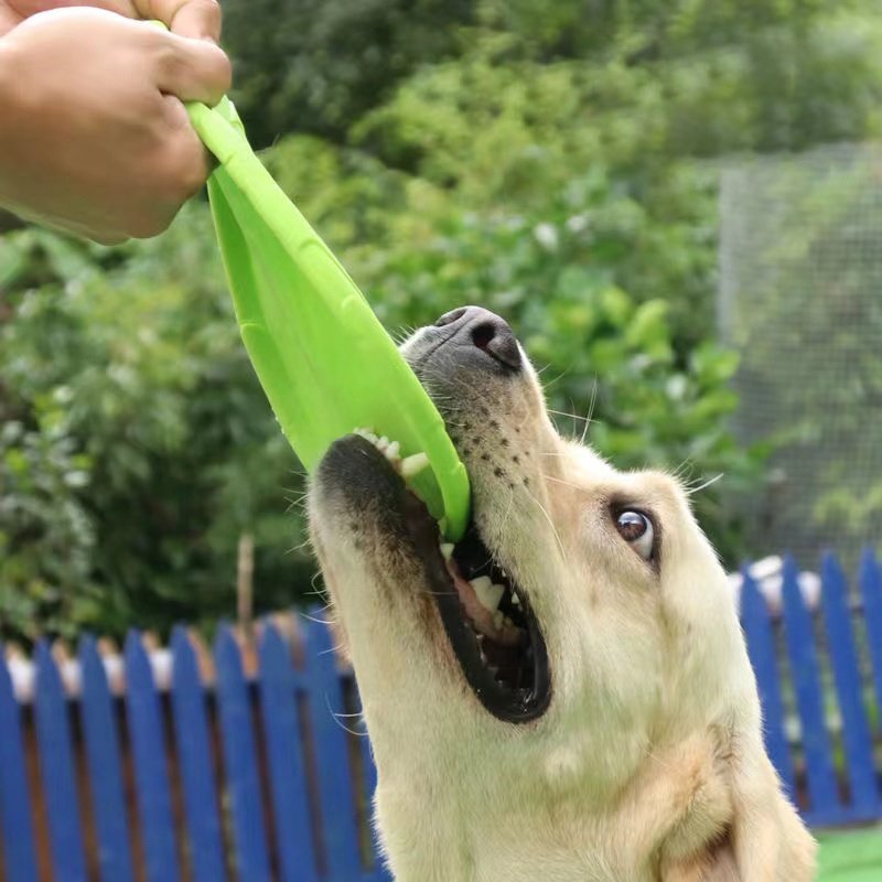 Outdoor Durable Chewable Silicone Soft Frisbeed Silicone Round Flying Disc Other Pet Dogs Toys