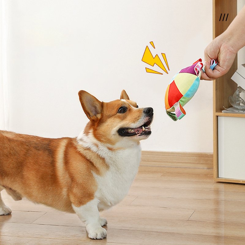 Dog Toy Plush Sound Interactive Puppy Frisbee Grinding Teeth Bite Resistant Pet Frisbee Accepted For Customization