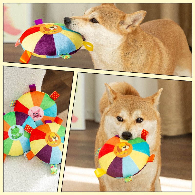 Colorful Frisbee Sports Ball Pet Toy for Dog Frisbeed Dog Toy