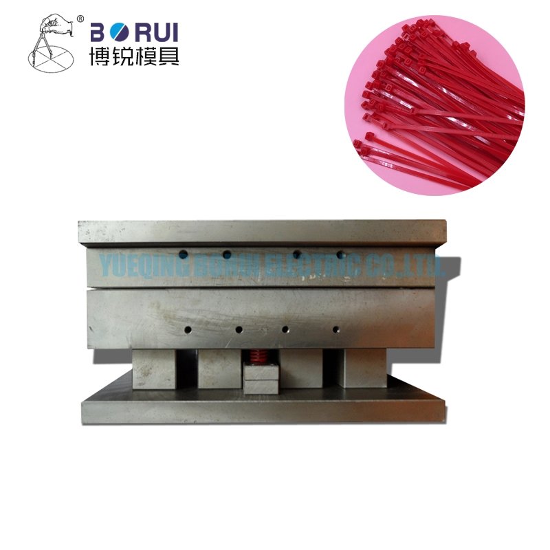 Plastic Injection Moulds custom plastic injection mold