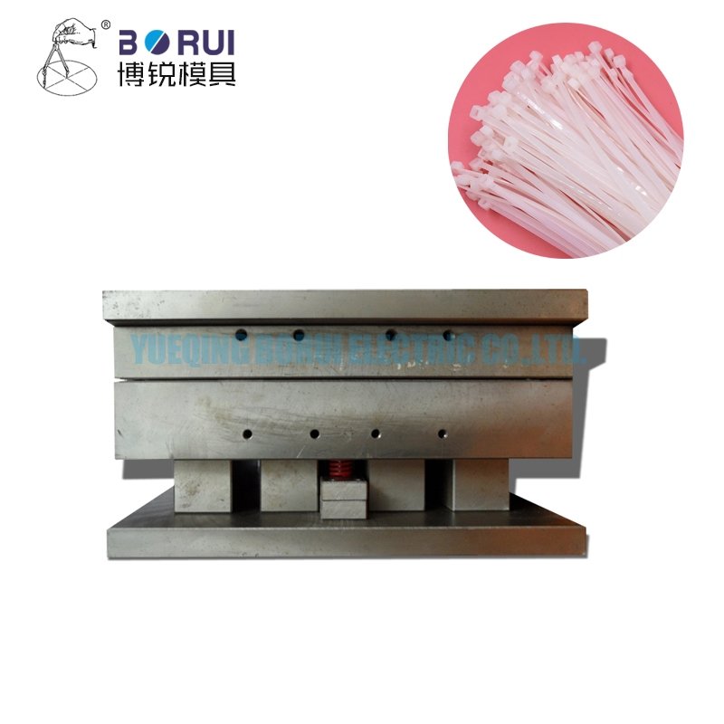 Plastic Injection Moulds custom plastic injection mold