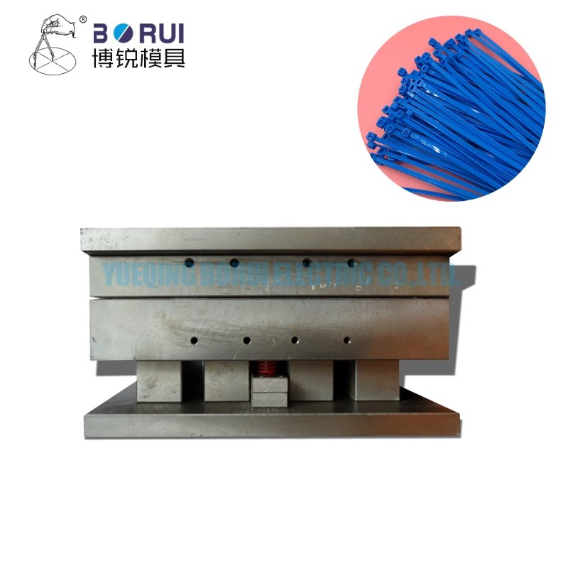 Plastic Injection Moulds custom plastic injection mold