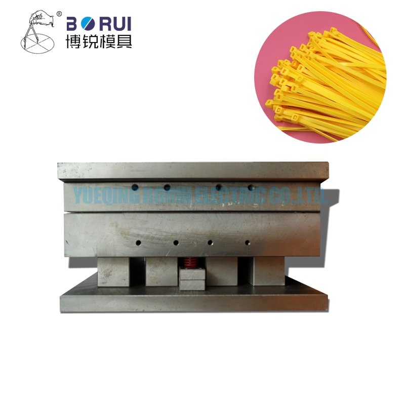 Plastic Injection Moulds custom plastic injection mold
