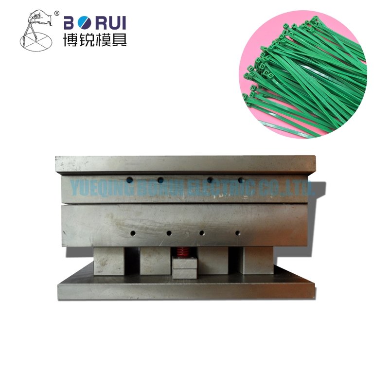 Plastic Injection Moulds custom plastic injection mold