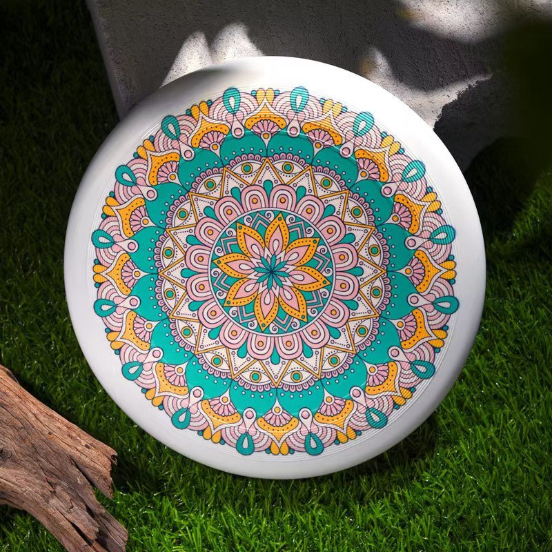 Team luminous Frisbee dedicated 175g adult sports outdoor sports competition team built teaching flying saucer