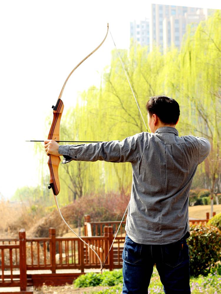 Competitive Bow Set Professional Competition Special Archery Equipment Get started Adult Youth Children Bow and Arrow Shooting