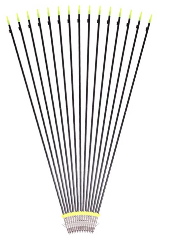 Fish Bow Bow, Salm Arrow with Spirit and Beauty Hunting Curly Bow Composite Bow Special Footfall Special Potal Arrow