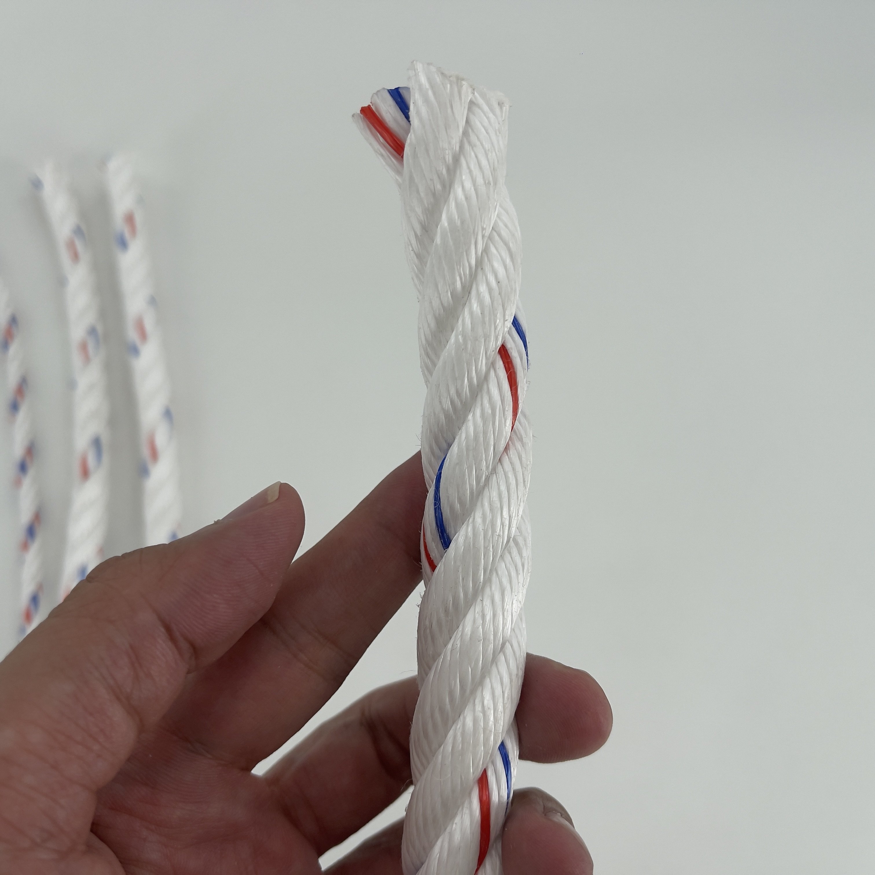 2024 Popular 3 Strands Twisted Pp Danline Rope,Marine Rope,Pp Twisted Packaging Rope for Fishing Net Marine