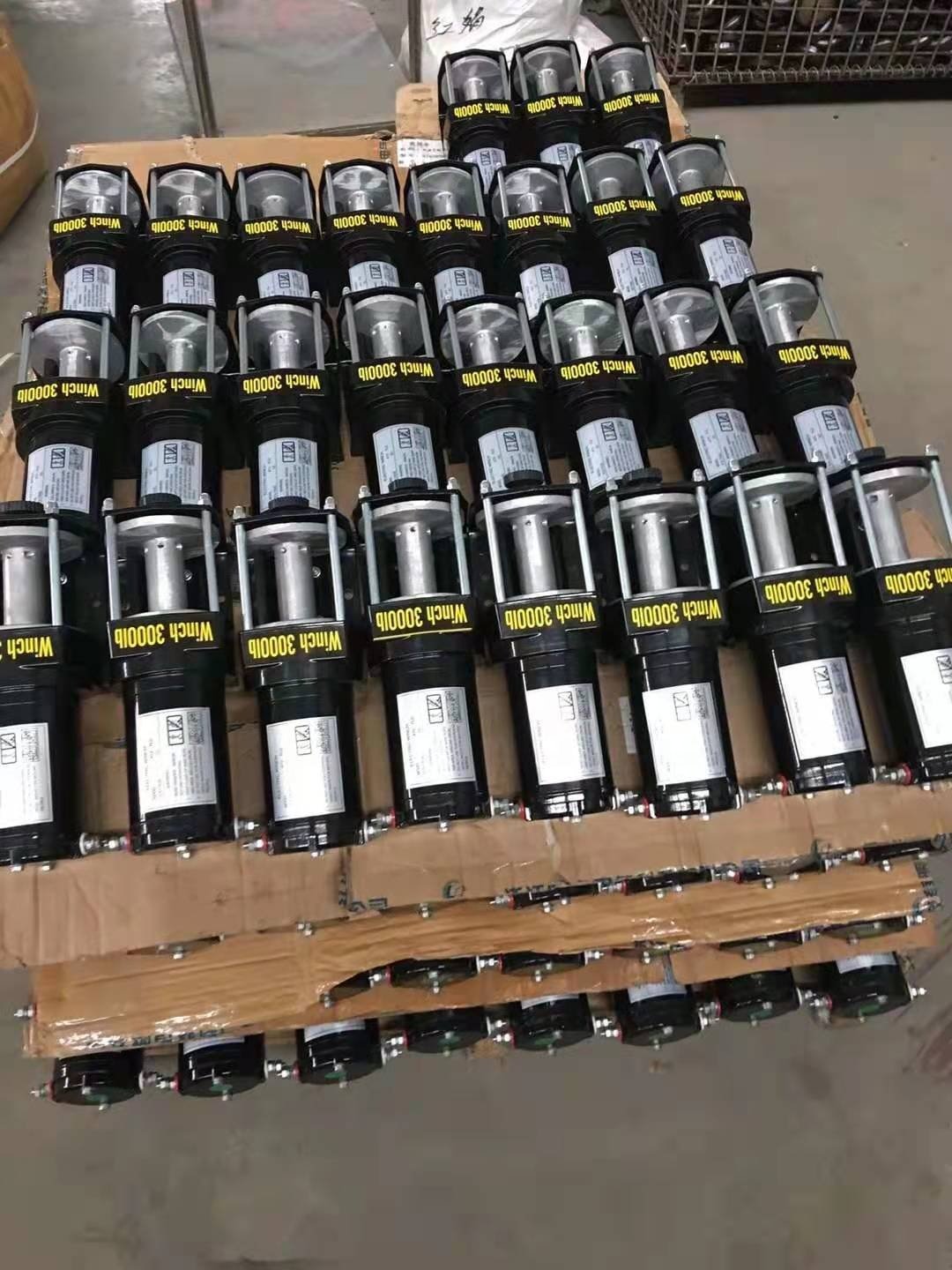 12v Boat Anchor Electric Winch Dc Motor 12V 24V 48V 6000 lb 6000 Lbs 6000lbs Car Truck Electric Winch Pickup Truck Crane
