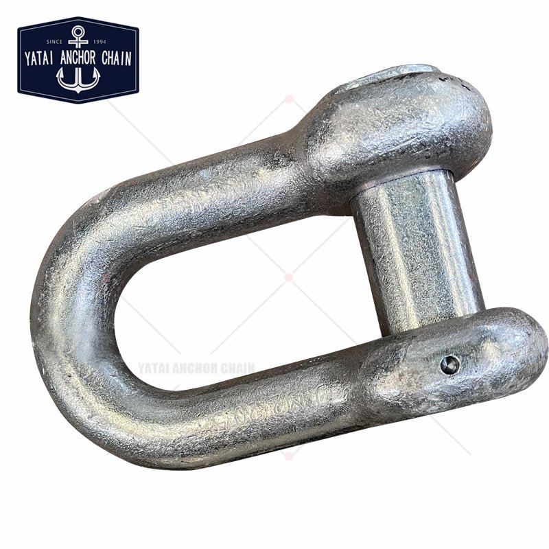 Customised Galvanize D Type End Shackle Anchor Chain Accessories Boat Joining Shackle