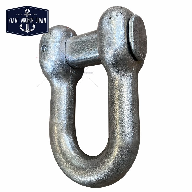 Customised Galvanize D Type End Shackle Anchor Chain Accessories Boat Joining Shackle