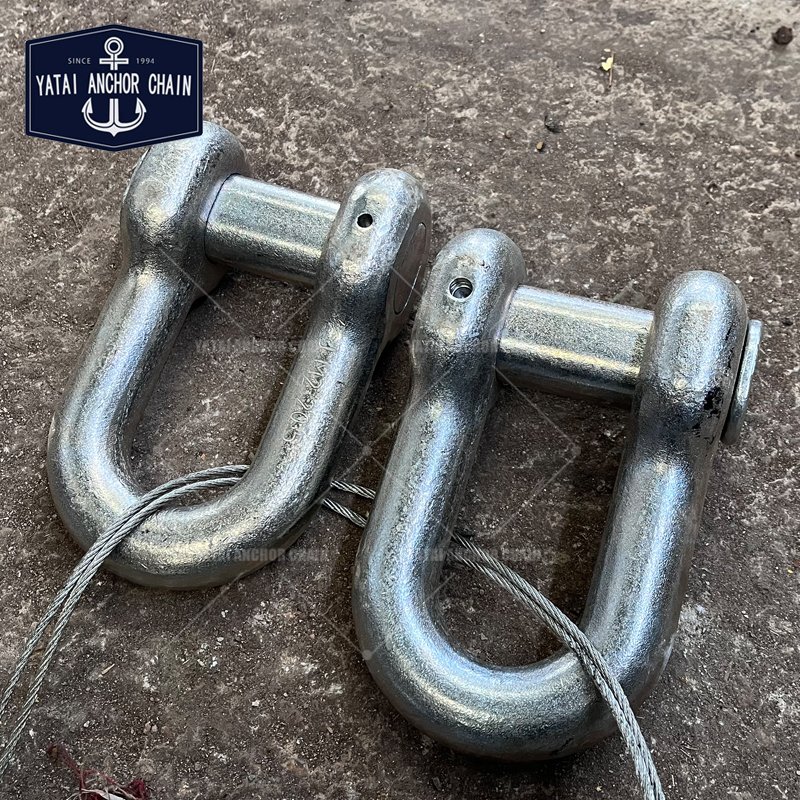 Customised Galvanize D Type End Shackle Anchor Chain Accessories Boat Joining Shackle