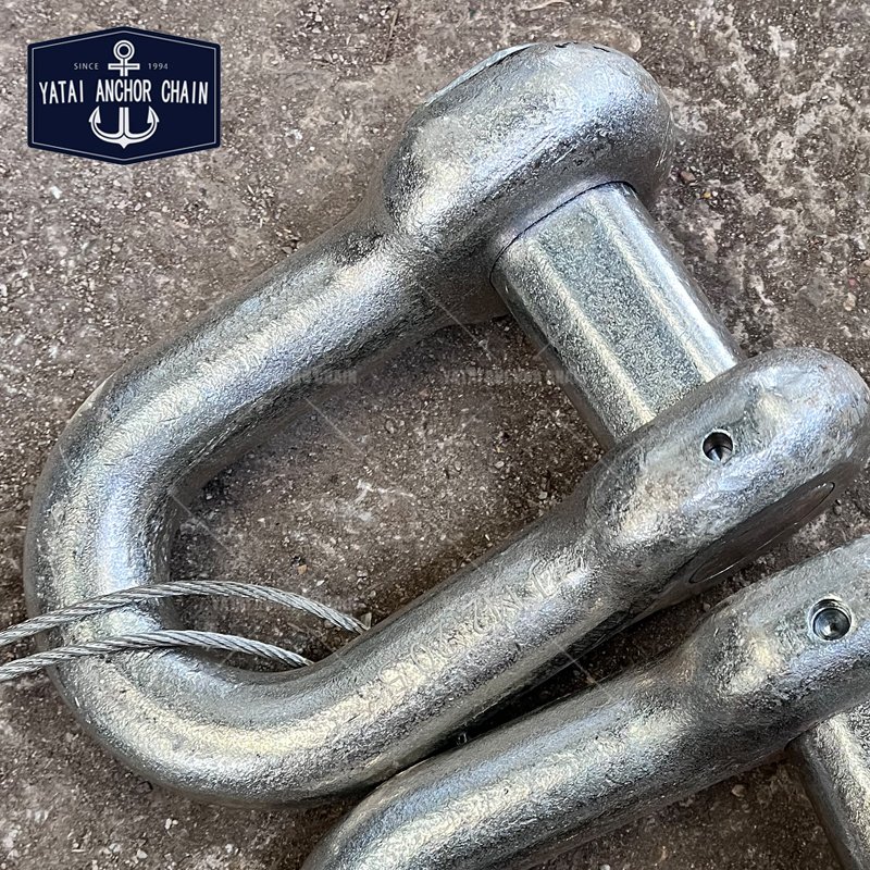 Customised Galvanize D Type End Shackle Anchor Chain Accessories Boat Joining Shackle