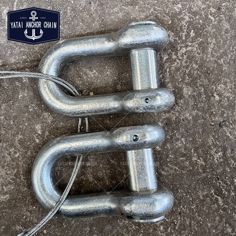 Customised Galvanize D Type End Shackle Anchor Chain Accessories Boat Joining Shackle